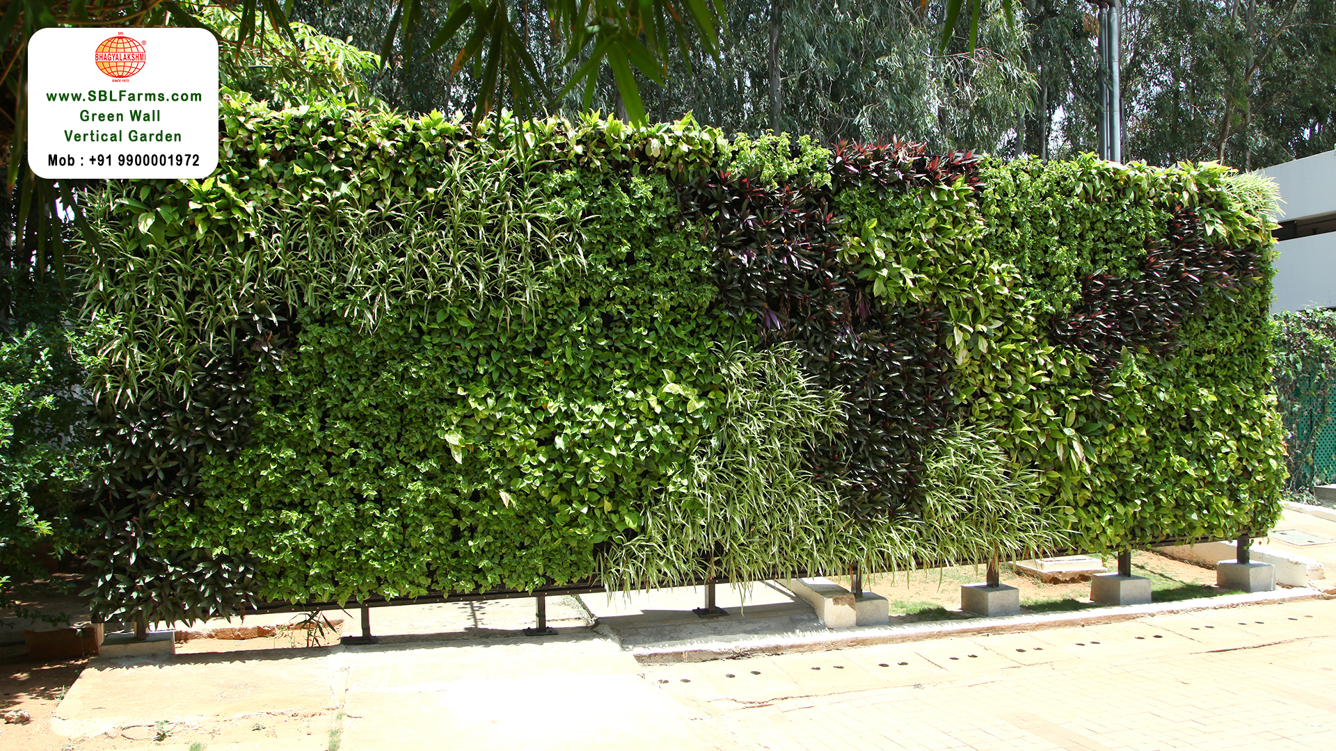 Sbl Farms Green walls and Living walls, Vertical Garden, Bio Curtains